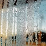 condensation dans les containers